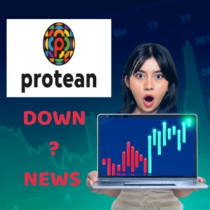 Protean eGov stock crash news