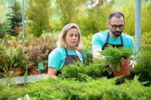 Importance Of Professional Landscaping Services In Denver, Colorado