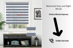 Motorised Day and Night Blinds