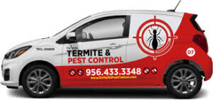 emergency exterminators