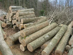 Stockbord ved – Den ultimata guiden till effektiv vedhantering Stockbord ved