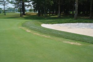 Installing a Putting Green: Tips and Techniques putting-green