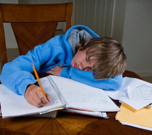 homework assignments