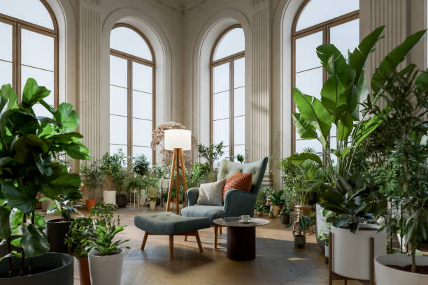 interior plant service