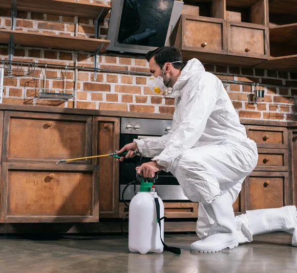 pest Control Toronto