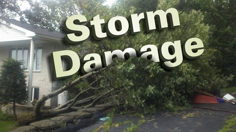 storm damage tree cleanup services