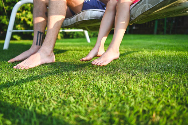 best backyard putting greens